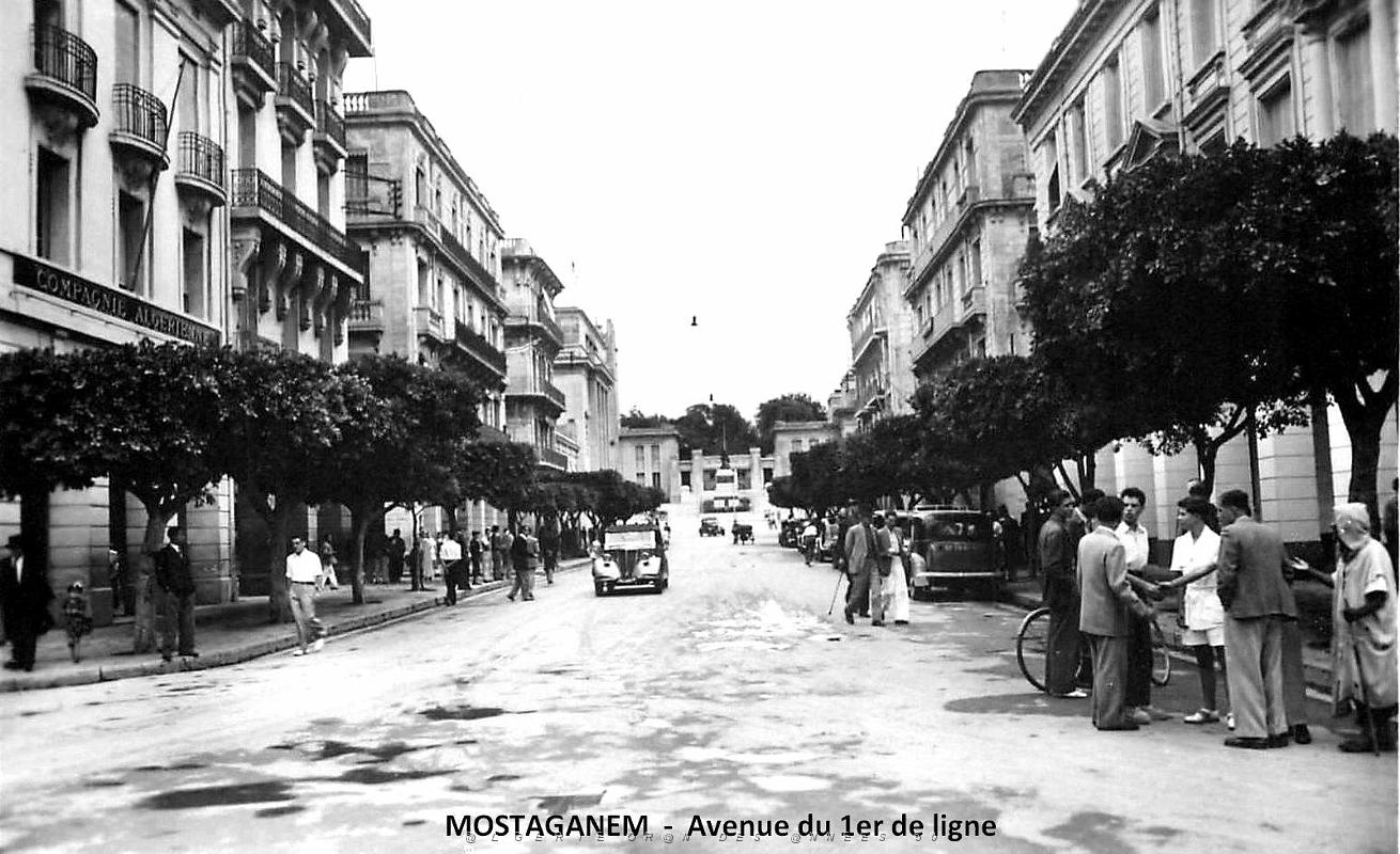 1682- Mostaganem - Avenue du 1er de ligne.jpg
